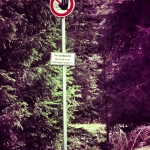 Alpenschorsch | Privatgrund | Durchfahrt verboten!!!